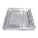 Plastic Colored Plates - (10 Pieces, Transparent)