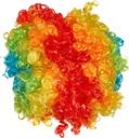 Clown Wig Costume Accessory Multi-Color Unisex Free Size